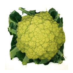 BRÓQUIL VERDE