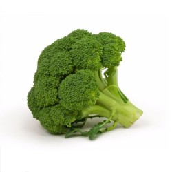 BRÓCOLI