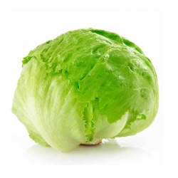 LECHUGA ICEBERG